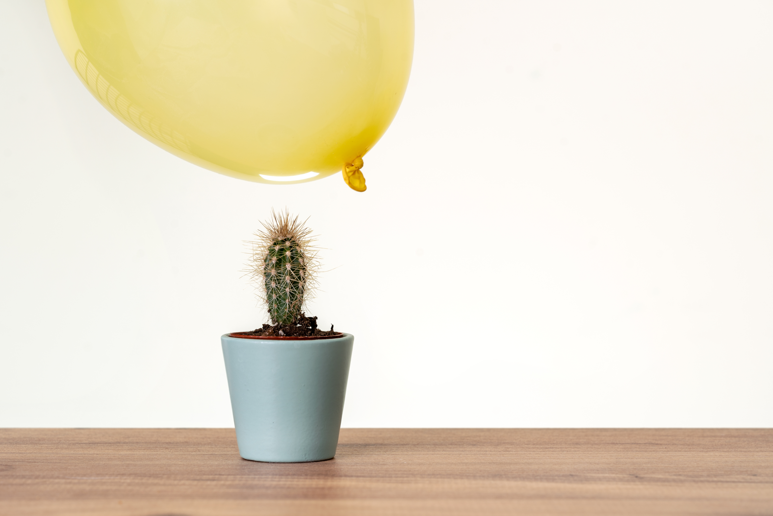 Green Bench Consulting